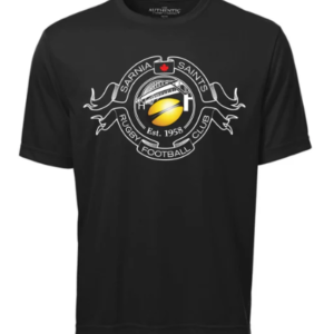 adult polyester t shirt